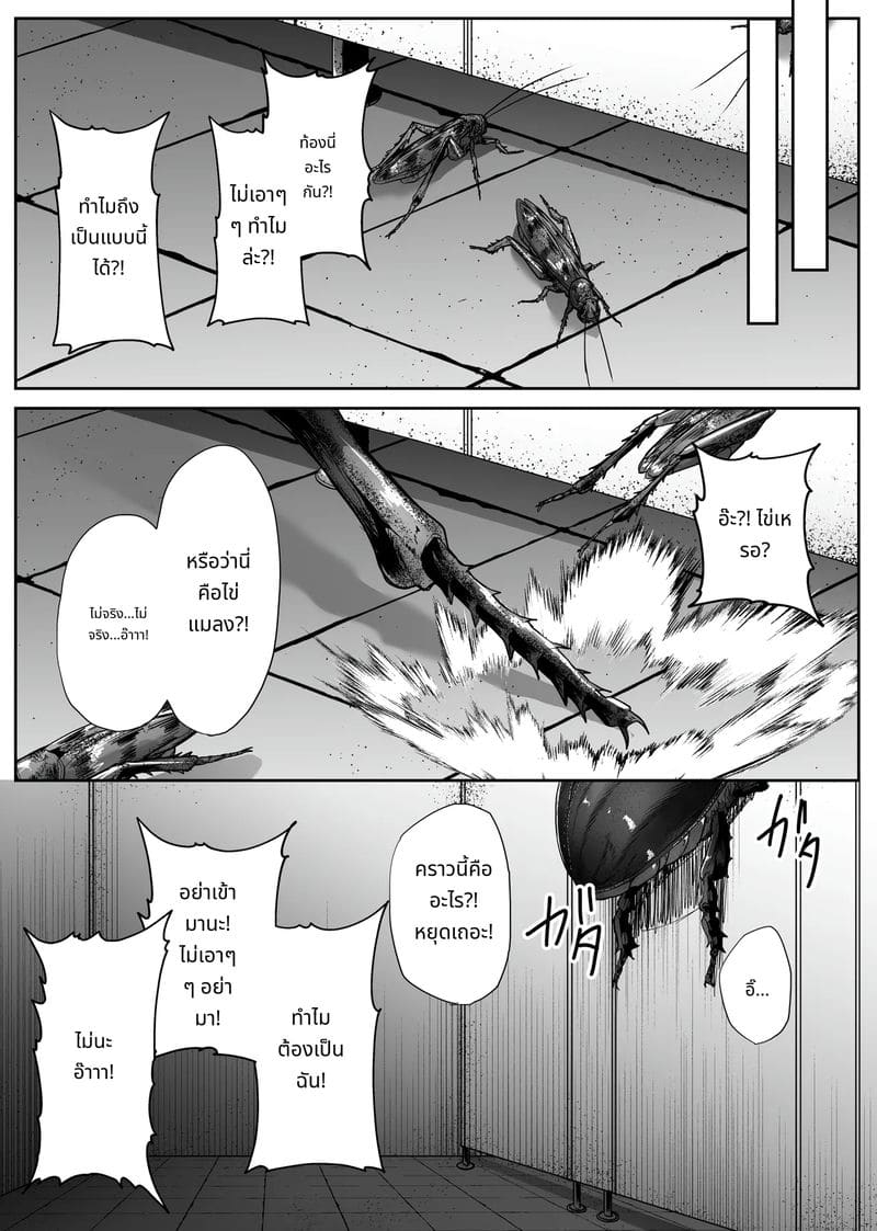 ห้องน้ำแมลงสุดสยอง